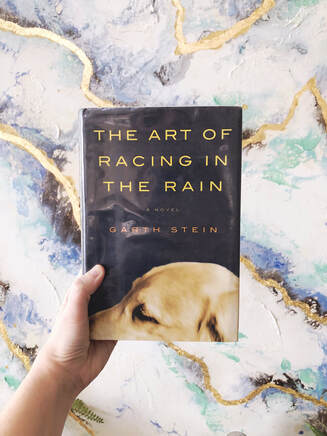 A hand holds the book, The Art of Racing in the Rain in front of an abstract painting.